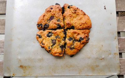 Gluten Free Blueberry Scones w/ Lemon & Ginger