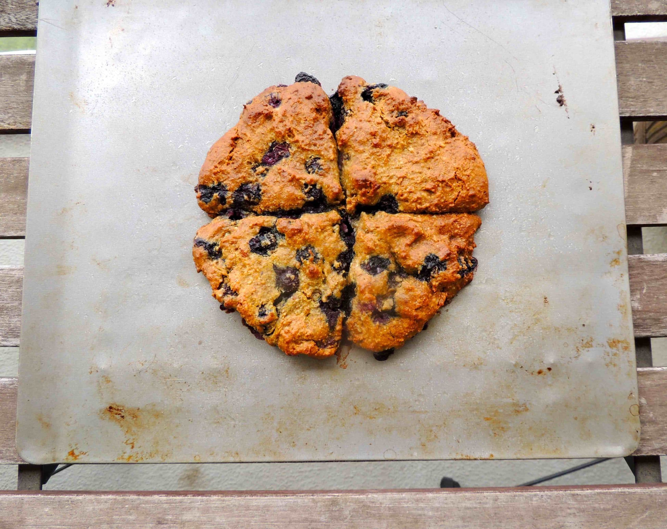 Gluten Free Blueberry Scones w/ Lemon & Ginger