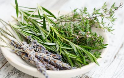 Fresh Herbs – Storage, Substitutions and Recipes!