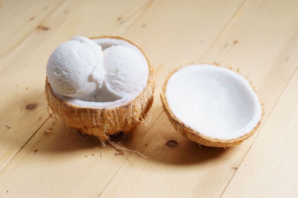 Coconut Milk Ice Cream Recipe Only Three Ingredients!