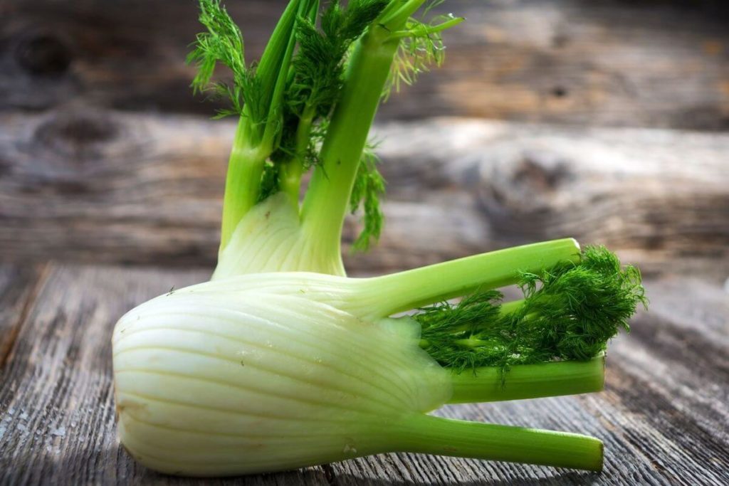 How to Chop Fennel