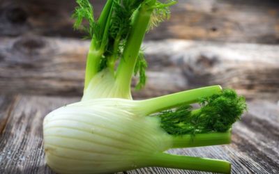 How to Chop Fennel