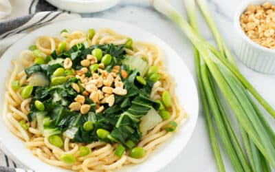 Vegetarian Peanut Noodles w/ Edamame & Bok Choy